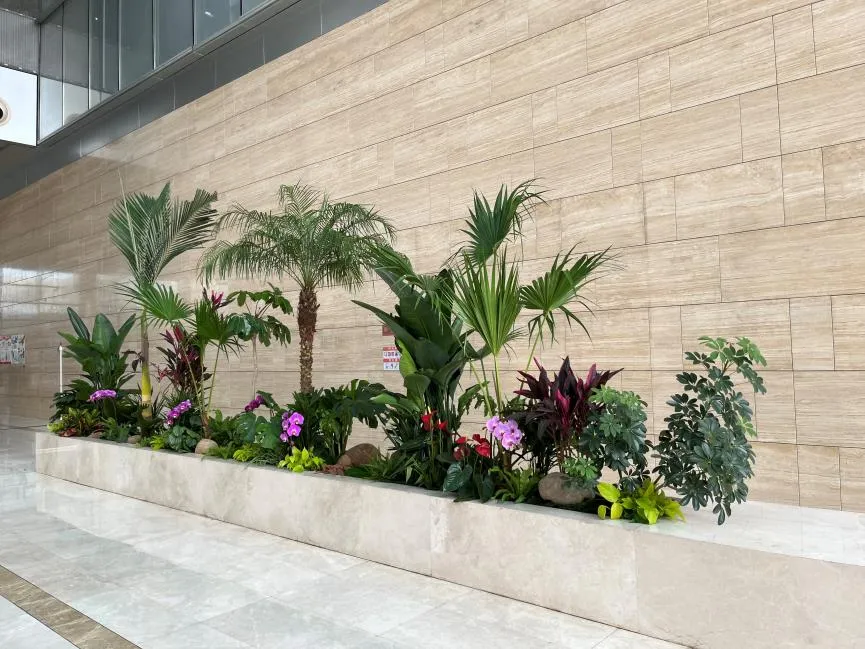 “北仑花木出租，服务贴心超优质，速来体验！验